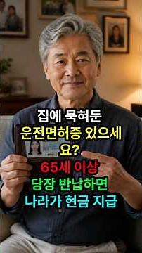 장롱면허 그냥 두면 손해! 면허 반납하고 정부 지원금 받는 법 #정부지원금 #운전면허 #고령운전자 #고령운전자면허반납 #더불어민주당 #이재명 #60대 #70대 #고령자 #꿀팁