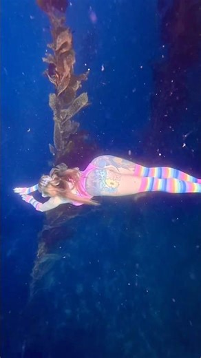🩷 #socal #underwater #kelp #freediver #freediving