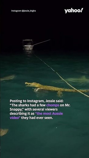Wild footage shows group of sharks attack crocodile | #shorts #yahooaustralia