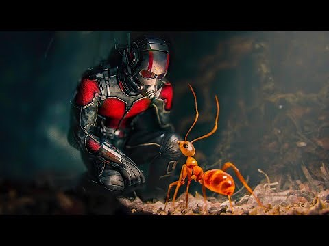 Ant-Man Training Scene - Scott Lang "COOL" Scene - Ant-Man (2015) Movie Clip