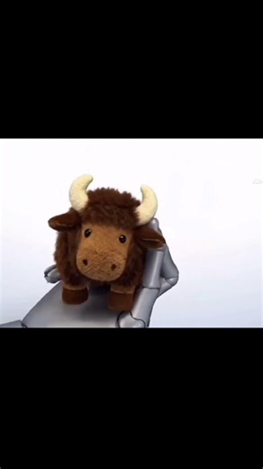 Alphabet Spinner - Y: Yo-Yo, Yak & Yoghurt