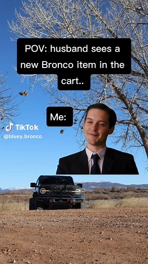 Magical Fairies: Uncovering the Real Story