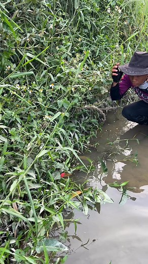 5.4K views · 21 reactions | My cap is full of fish. | Angelo Vlog | Facebook