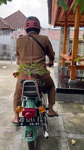 8K views · 196 reactions | Bringing small bonsai is easy #bonsai #antingputri #wrightiareligiosa #fblifestyle | Bonsai Shohin | Facebook