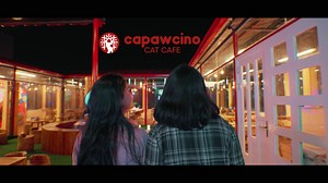 Welcome to our purr-adise Capawcino Cat Cafe, the very first Cat Cafe of Bangladesh located on the Rooftop of Mehedi Mart, Bashundhara R/A! We're offering delicious coffees and a wide range of food choices such as Waffles, Burger, Pizza, American Sandwiches, Soup, Pasta, Lasagna, Mexican Food, Burrito, Mini Steak, Honey Grilled Chicken, Shakes, Refreshing Drinks etc and a separate zone for animal lovers to play with cats! 😸 We have a cozy environment and we bet you'll love spending time here! T