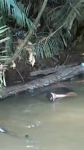 Motifnya gara gara mancing ikan di sungai larangan 😱😱 | Rheno Nggalu Tambora
