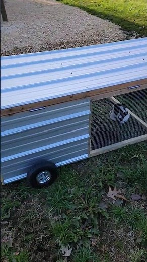 Rabbit Tractor for Meat Rabbits | Rabbitry