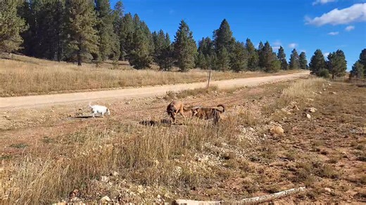 Another day in the appraisal world...rough, huh | Rex Dungan