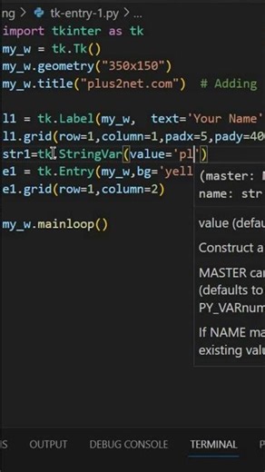 Adding a default string value to Tkinter Entry box while opening the window.