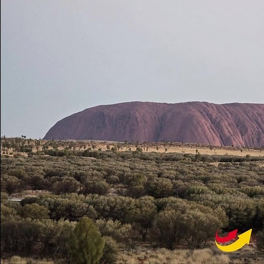 When your office has this kind of backdrop… it’s a good day at work! Our Roll Cage Trolley and Tow Tug combo was on-site at Uluru - giving the team a look at how streamlined, low-effort handling could support daily food and beverage service on the viewing deck. What’s the most memorable place your work has taken you? Explore Roll Cage Trolleys – https://ap1.hubs.ly/y0n4HK0 Explore Tow Tugs –https://ap1.hubs.ly/y0n4z50 | Sitecraft Materials Handling Equipment | Facebook