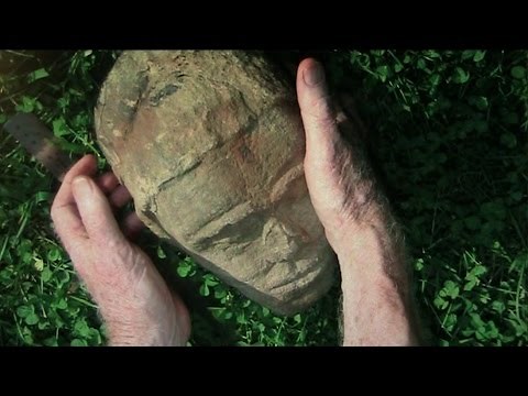 Mudfossils Part 1..The story