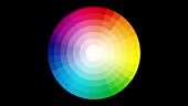 4K Video A Color wheel palette animation loop in rainbow shades