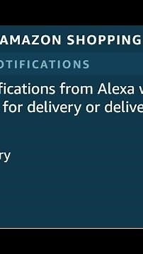 How to stop Amazon shopping notifications on your Alexa echo device