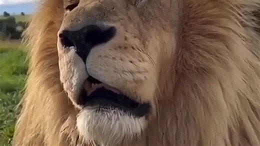 9aa2841c99cd8382a3cad621abffa7ea_526513_1768245278