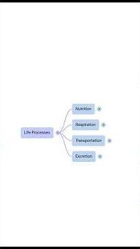 Master Life Processes Before Your Board Exam | Full Chapter Mind Map Class 10 #CBSE2026 #Revision