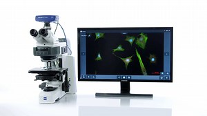 31 reactions · 11 shares | In this video, see a sample workflow of the acquisition of a multichannel fluorescence image using ZEISS Axioscope 5 and the imaging app Labscope. Smart functions, like the One-key mode, automate your workflows so you save valuable lab time. See here how it works. For more information on the shown features, visit: https://zeiss.ly/f-smart-microscopy | ZEISS Microscopy | Facebook