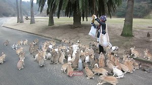 Awww 🐰🐰 This is tooooo cute 😍 | Animalistic