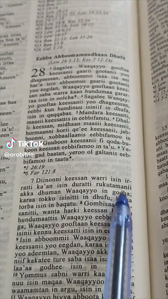 Exploring a Bible Page with a Blue Pen