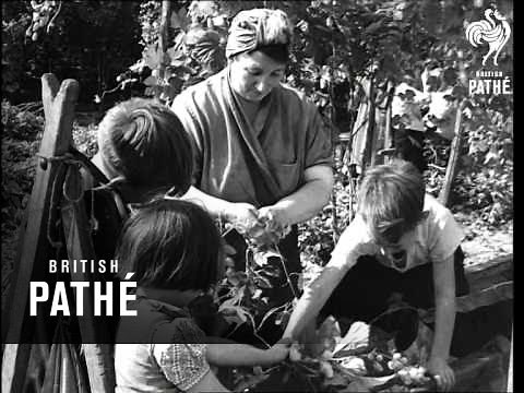 Hop Picking (1950-1959)