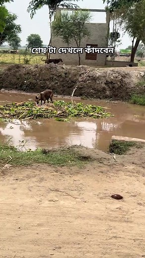 #foryou #trending #viral #trend #song | Rakibul Create