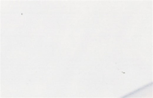 English Gooseberry Creams with Elderflower and Gooseberry Compote