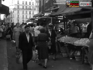 Au marché à Alger, décembre 1956 : | Nature Histoire Culture