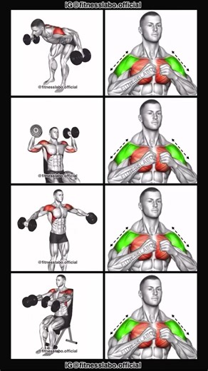 Shoulder workout at gym | Shoulder exercise at gym for beginners #shoulder #workout