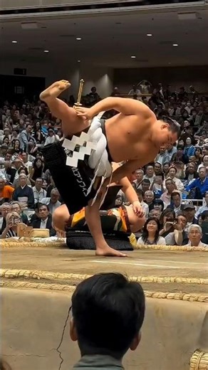 20-Year Shorter Life of Sumo Wrestlers --- #facts #trending #viral #shorts