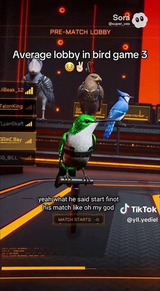 Average Lobby in Bird Game 3: New Player Experience