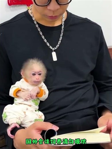 Adorable Monkey Prodigy: A Spirit Unleashed! | 精灵猴神童：精神觉醒