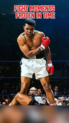 Fight Moments Frozen In Time