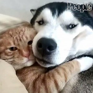 A live look at me and my best friend ❤️ | People