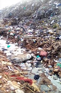 We Live In A World Full Of #Plastic- Experts expect the streams of plastic waste exported from industrialized nations to continue shifting to countries where regulation are not in place 😡 After China backed out, Vietnam and Malaysia became some of the biggest plastic waste importers in Asia, while Turkey also appeared on the scene as a net importer of European plastic waste. Most of the plastics arriving in Asia are routed through Hong Kong. Most of the plastic waste comes from countries like J