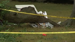 5 hospitalized after tree branch falls in New Jersey