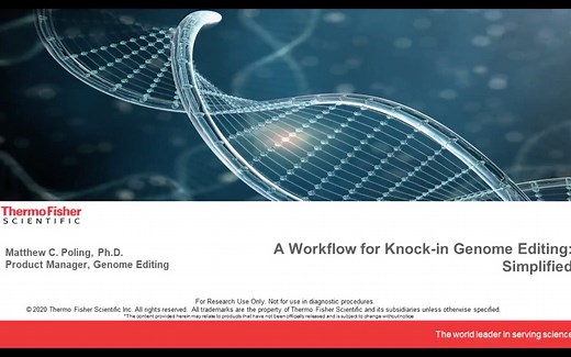 基因编辑/基因敲入：A Workflow for Knock-in Genome Editing Simplified