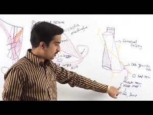 Anatomy Front of the thigh ( Adductor Canal ) - Part 7 ( Dr.G.Bhanu Prakash )