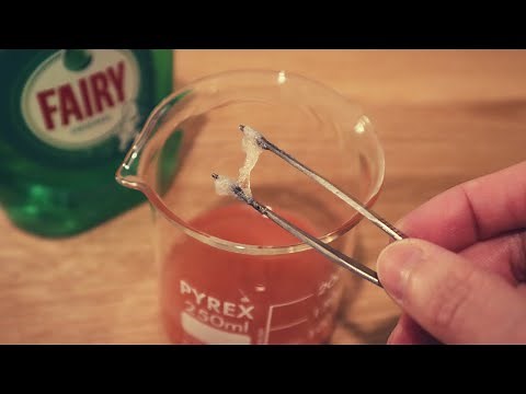 Extracting Strawberry DNA - Experiment At Home