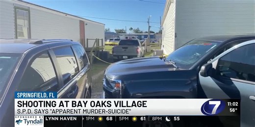 Police provide update on deadly Springfield shooting