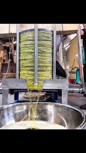 factbriefly on Instagram: "Traditional olive oil extraction without heat—commonly known as cold pressing—is a method that prioritizes quality over speed. In this process, olives are crushed and pressed mechanically at low temperatures, typically below 27°C (80°F). By avoiding high heat, the oil retains more of its natural compounds, including polyphenols and antioxidants, which contribute to both flavor and potential health benefits. Heat can increase oil yield, but it may also degrade delicate 