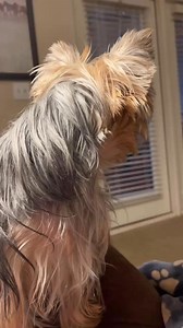 94K views · 3K reactions | Hit the high note  DOLCE VITA♥️ | 퐋퐔퐍퐀&퐃퐎퐋퐂퐄 | Facebook