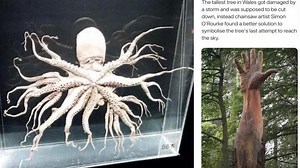 10 Oddly Terrifying Images That Really Shouldn't Be This Scary