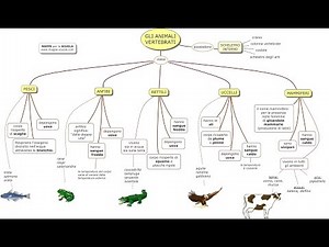 MAPPA: ANIMALI VERTEBRATI