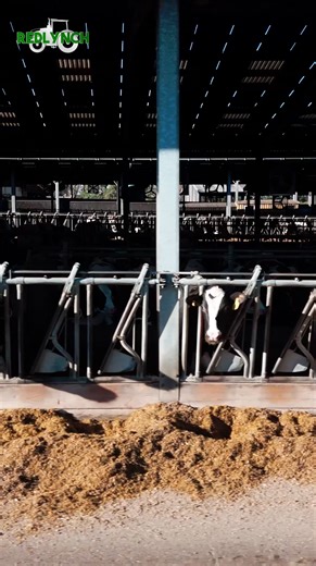 Giles, Arable Manager, shares why their operation runs a fleet of Fendt tractors, with particular focus on the Fendt 939 and Fendt 942 and why the support behind the machine matters just as much as the machine itself. Giles talks openly about his experience working with Redlynch, highlighting the confidence that comes from dealing with knowledgeable technicians who understand both the technology and the realities of modern arable farming. From day-to-day reliability to informed technical support