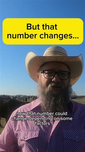 Stocking Rate Isn’t a Fixed Number (Most Get This Wrong)