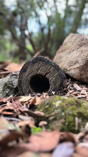 18 reactions | Our favourite gardens are those that provide habitat...