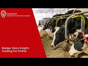 Badger Dairy Insight: Feeding for Profit Nutrient Digestibility and Milk Components