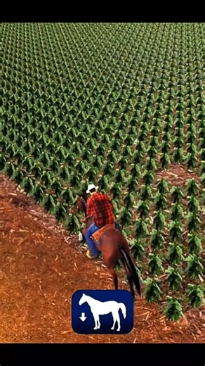 Tutorial para Iniciar no Farming Simulator Brasil