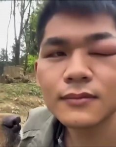 The Best Of The Internet (2024) 🔥 Funniest, Craziest & Most Viral Moments Compilation