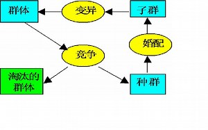 遗传算法GA 测试例子讲解1_2