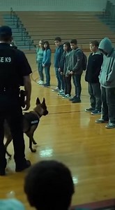 "My K9 partner is trained to take down felons and sniff out fentanyl. He never breaks formation. Never. But today, during a school demo, he ignored my command and walked toward a trembling boy hiding in the back row. When I saw where Bear put his paw, and the terror in that kid’s eyes, I knew this wasn't about drugs. It was about survival. The gymnasium at Oak Creek Middle School smelled like floor wax and teenage hormones. It was Career Day. I was there with Bear, my 85-pound Belgian Malinois. 